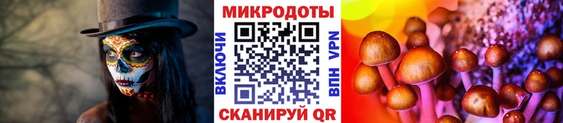 Галлюциногенные грибы MAGIC MUSHROOMS  Орехово-Зуево 
